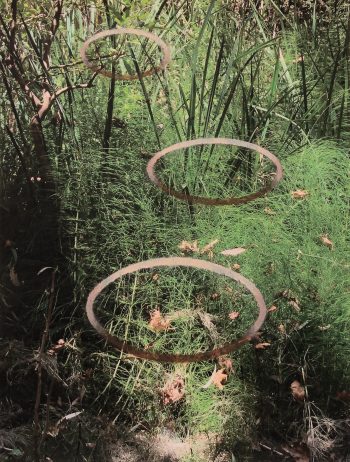 Claudia Maas "Foto/Malerei 5"