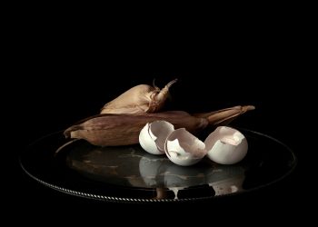 Evangelos Koukouwitakis "natura morte", 2017