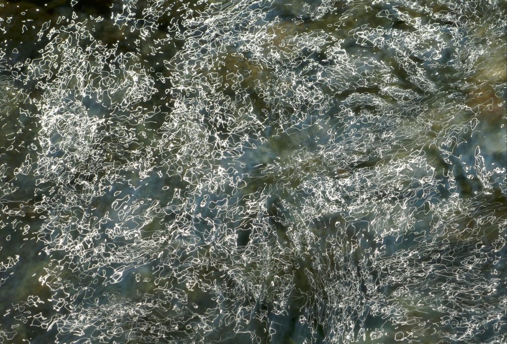 IMG_Pöhler_Bachkundebuch_IV