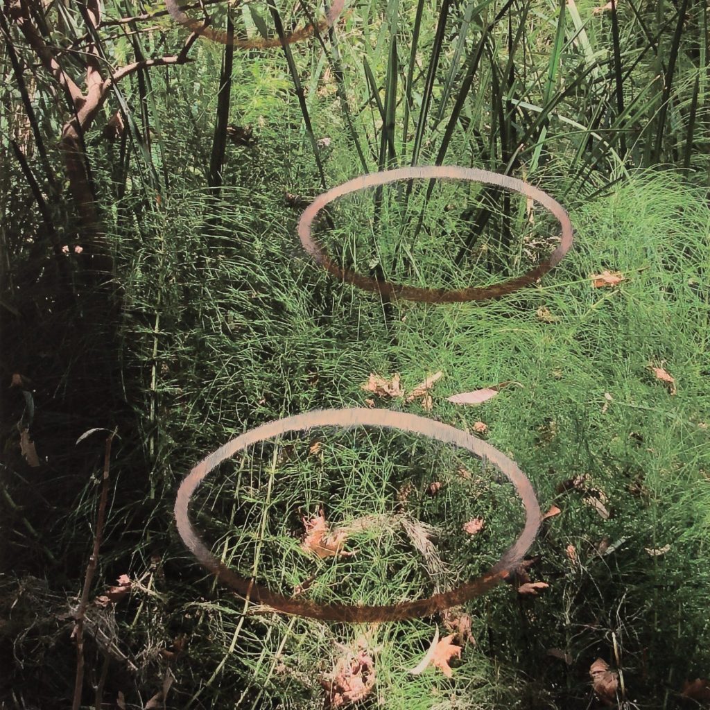 11. FotoMalerei 5, 2021