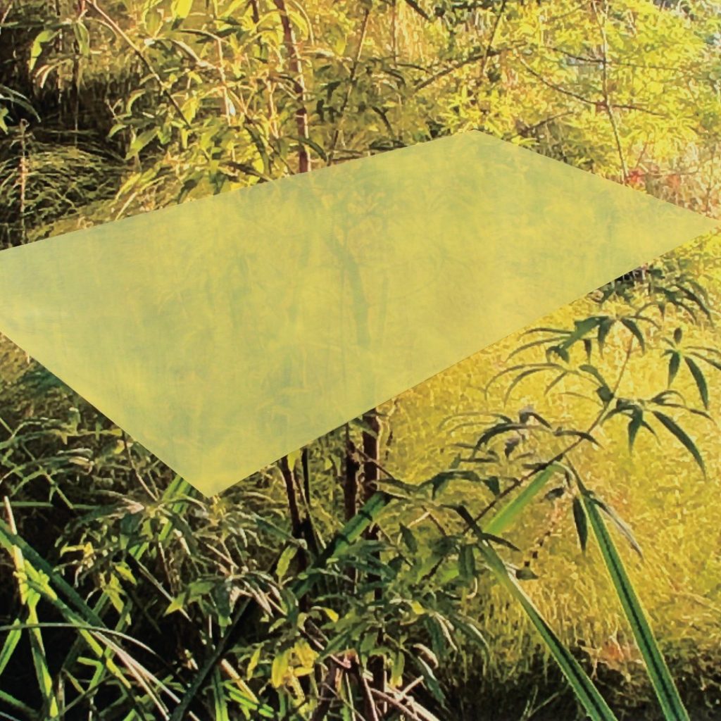 14. FotoMalerei I, 2022