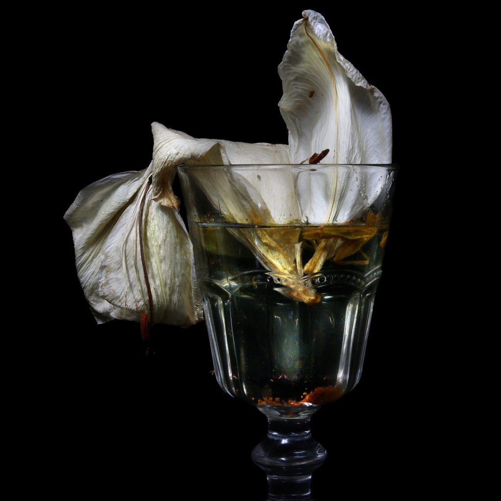 16. memento mori, 2025