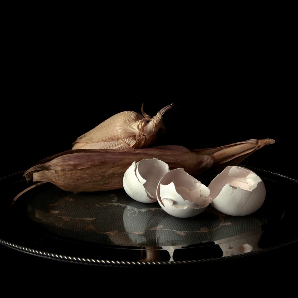 41. natura morte, 2017