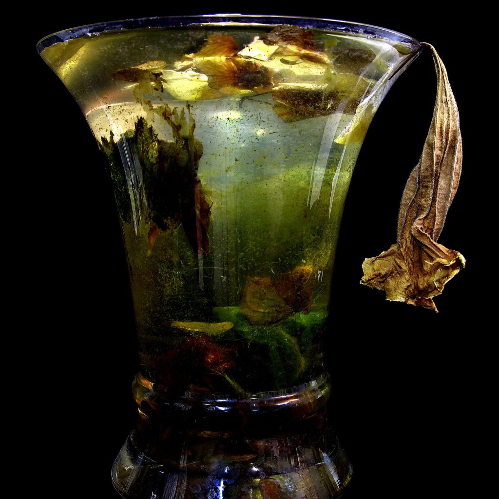 KOUKOUWITAKIS 49. memento mori